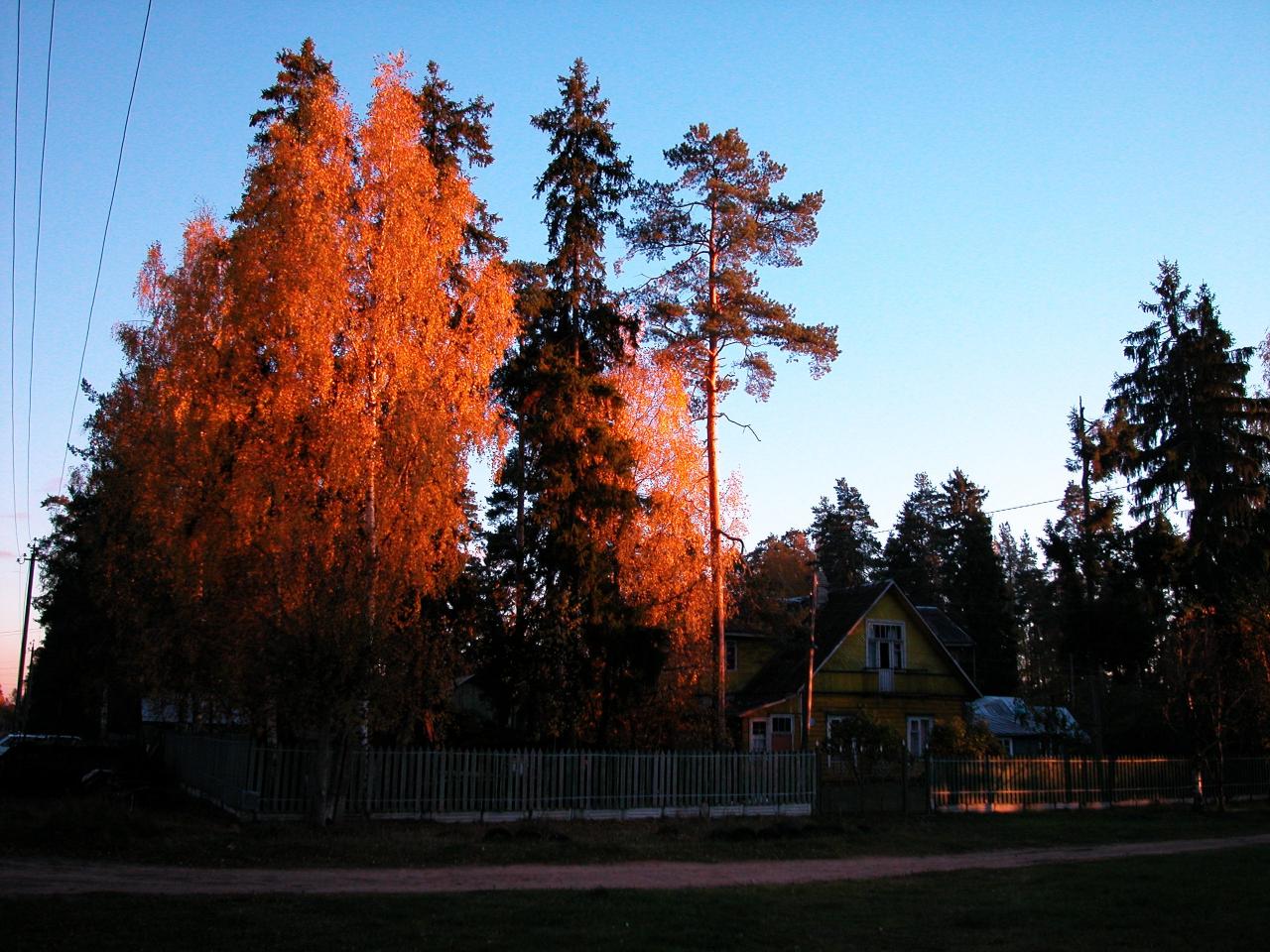 Улица Боровая