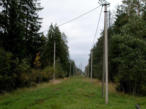 ,  ()  . 2004